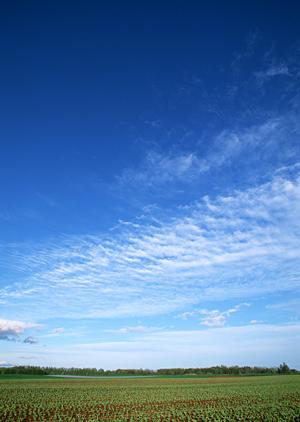 静岡県焼津市の安心葬儀を提供する富士葬祭焼津の全詳細ガイド