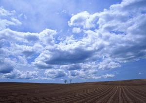 静岡県藤枝市に根ざした信頼の葬儀サービス：富士葬祭 藤枝の全貌と特徴