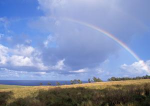 静岡市で信頼と実績の葬儀サービス｜富士葬祭 静岡の特徴と店舗情報