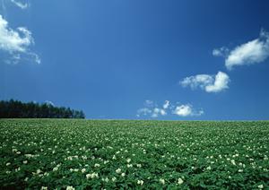 【2024年最新】ティア越谷の葬儀サービスと特徴を徹底解説｜安心と信頼の葬儀会館